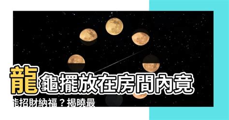 龍龜可以放房間嗎|龍龜可以放房間嗎？臥室擺放助好眠、保平安 